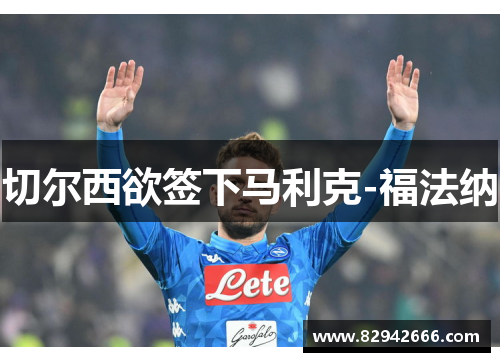 切尔西欲签下马利克-福法纳